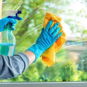 Windows Cleaning
